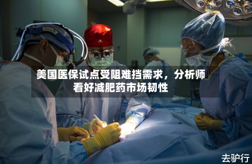 美国医保试点受阻难挡需求	，分析师看好减肥药市场韧性-第2张图片