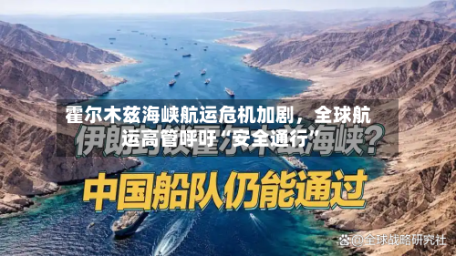 霍尔木兹海峡航运危机加剧，全球航运高管呼吁“安全通行”-第3张图片