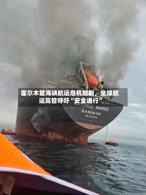 霍尔木兹海峡航运危机加剧，全球航运高管呼吁“安全通行”-第2张图片