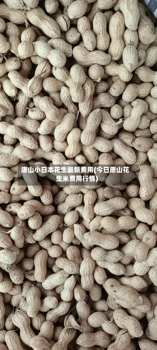 唐山小日本花生最新费用(今日唐山花生米费用行情)-第1张图片
