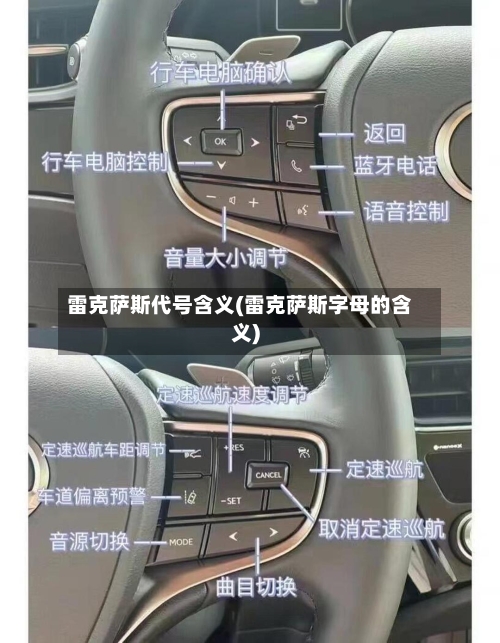 雷克萨斯代号含义(雷克萨斯字母的含义)-第1张图片