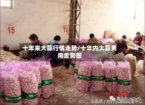 十年来大蒜行情走势/十年内大蒜费用走势图-第2张图片