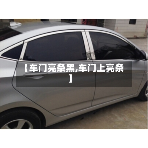 【车门亮条黑,车门上亮条】-第3张图片