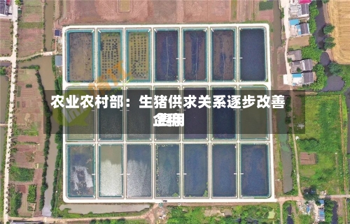 农业农村部：生猪供求关系逐步改善 费用企稳-第1张图片