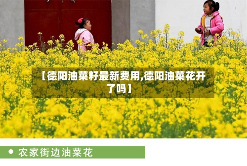 【德阳油菜籽最新费用,德阳油菜花开了吗】-第2张图片