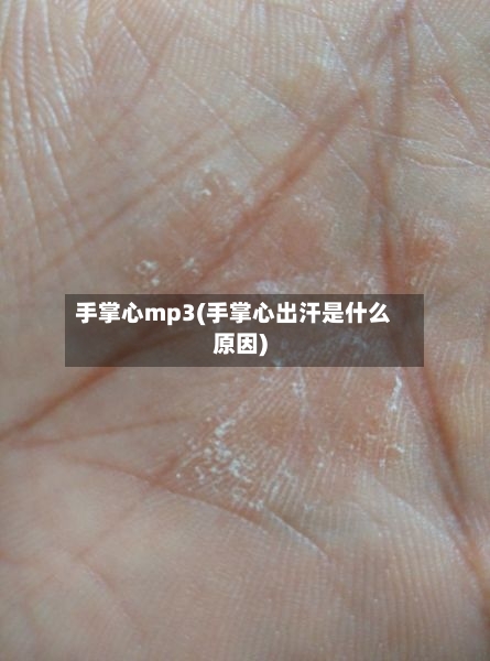 手掌心mp3(手掌心出汗是什么原因)-第2张图片