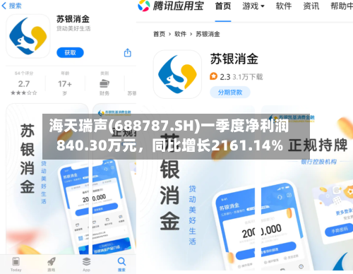 海天瑞声(688787.SH)一季度净利润840.30万元，同比增长2161.14%-第1张图片