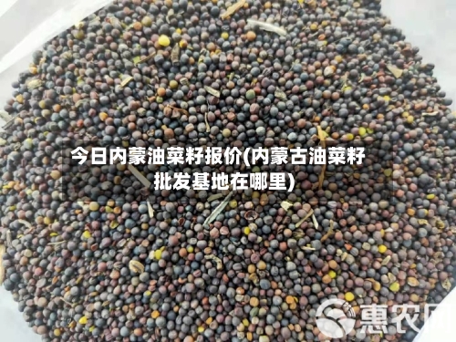 今日内蒙油菜籽报价(内蒙古油菜籽批发基地在哪里)-第2张图片