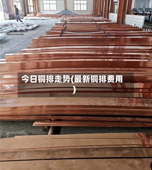 今日铜排走势(最新铜排费用)-第2张图片