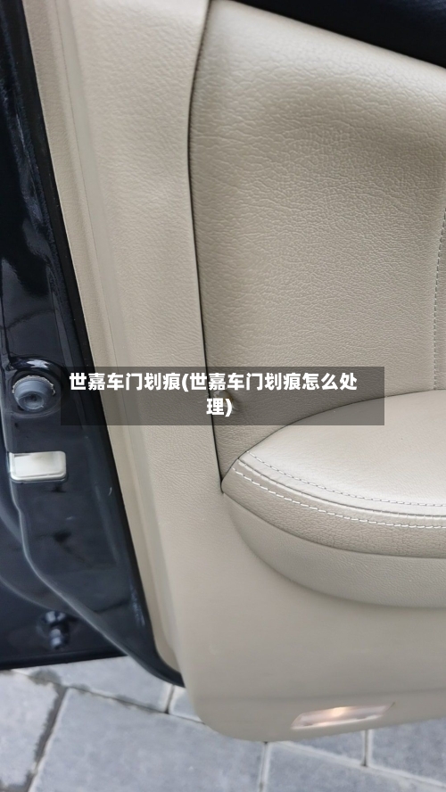 世嘉车门划痕(世嘉车门划痕怎么处理)-第3张图片