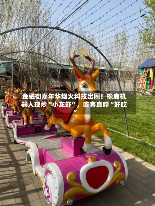 金融街嘉年华烟火科技出圈！橡鹿机器人现炒“小龙虾”	，吃客直呼“好吃	”-第1张图片