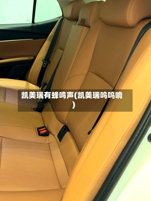 凯美瑞有蜂鸣声(凯美瑞呜呜响)-第1张图片
