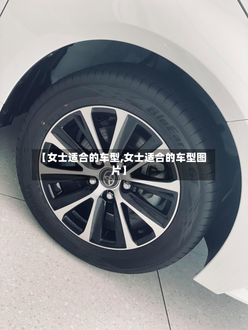 【女士适合的车型,女士适合的车型图片】-第1张图片