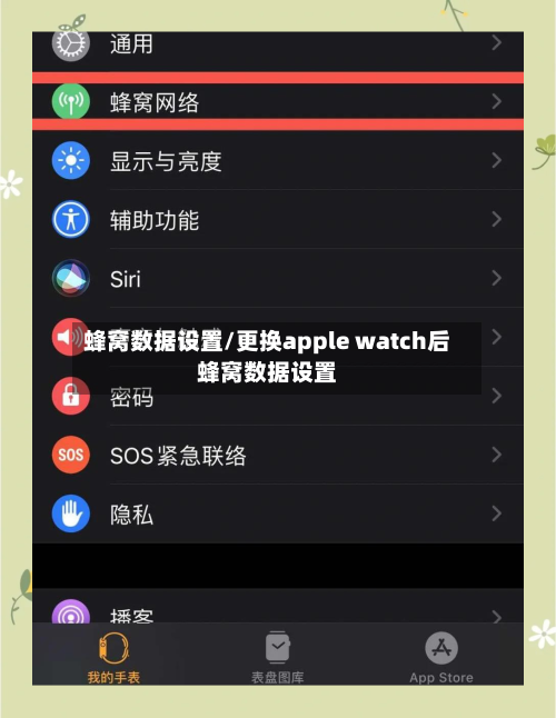 蜂窝数据设置/更换apple watch后蜂窝数据设置-第1张图片