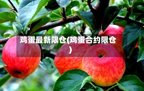 鸡蛋最新限仓(鸡蛋合约限仓)-第2张图片