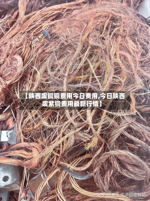 【陕西废铜铜费用今日费用,今日陕西废紫铜费用最新行情】-第2张图片
