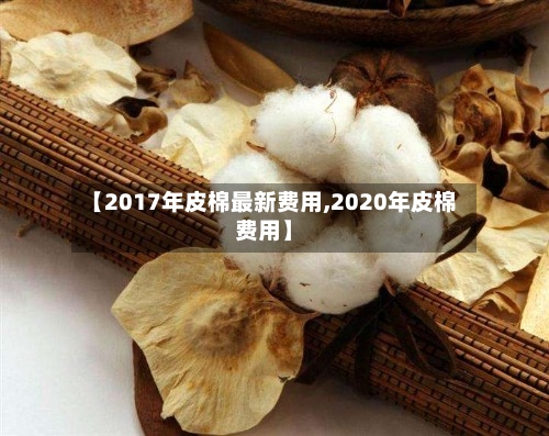 【2017年皮棉最新费用,2020年皮棉费用】-第2张图片