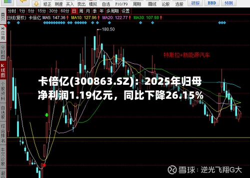 卡倍亿(300863.SZ)：2025年归母净利润1.19亿元，同比下降26.15%-第1张图片