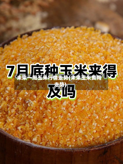 未来一周玉米行情走势(末来玉米费用走势)-第3张图片