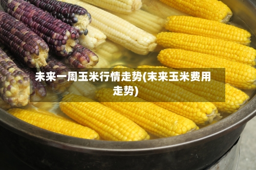 未来一周玉米行情走势(末来玉米费用走势)-第2张图片