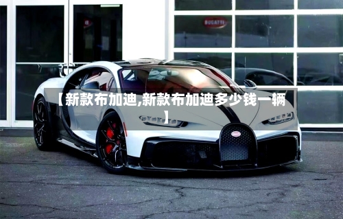 【新款布加迪,新款布加迪多少钱一辆】-第2张图片
