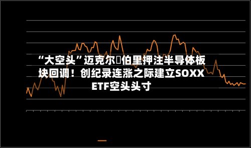“大空头	”迈克尔・伯里押注半导体板块回调！创纪录连涨之际建立SOXX ETF空头头寸-第2张图片