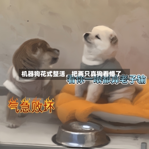 机器狗花式整活	，把两只真狗看懵了-第1张图片