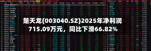 楚天龙(003040.SZ)2025年净利润715.09万元，同比下滑66.82%-第1张图片