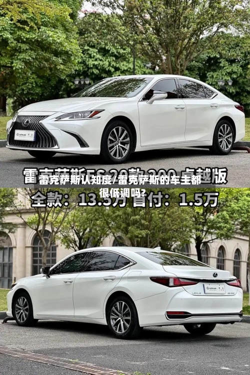 雷克萨斯认知度/雷克萨斯的车主都很低调吗?-第2张图片