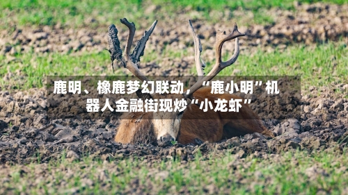 鹿明、橡鹿梦幻联动，“鹿小明”机器人金融街现炒“小龙虾	”-第1张图片