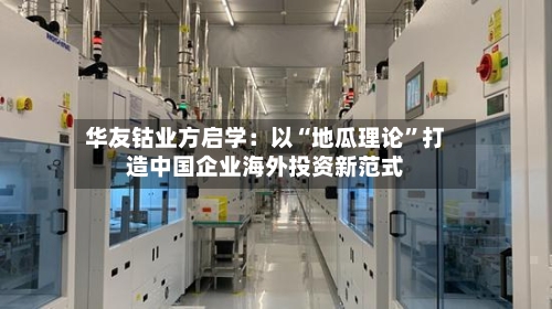 华友钴业方启学：以“地瓜理论”打造中国企业海外投资新范式-第2张图片