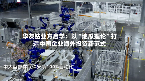 华友钴业方启学：以“地瓜理论	”打造中国企业海外投资新范式-第3张图片