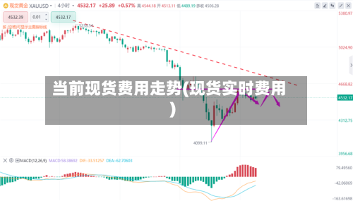 当前现货费用走势(现货实时费用)-第2张图片