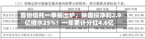 首份信托一季报出炉，陕国投净利2.9亿缩水25%！一年累计分红4.6亿-第2张图片