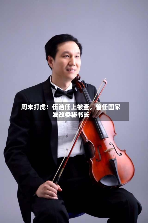 周末打虎！伍浩任上被查	，曾任国家发改委秘书长-第1张图片