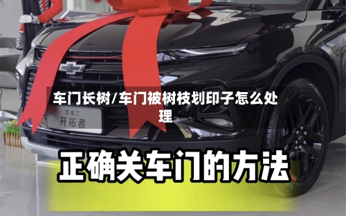 车门长树/车门被树枝划印子怎么处理-第3张图片