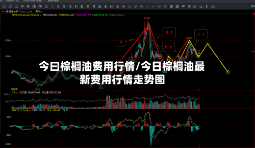 今曰棕榈油费用行情/今日棕榈油最新费用行情走势图-第1张图片