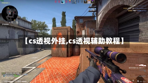 【cs透视外挂,cs透视辅助教程】-第1张图片