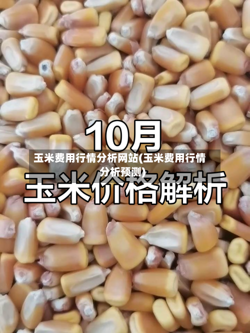 玉米费用行情分析网站(玉米费用行情分析预测)-第2张图片