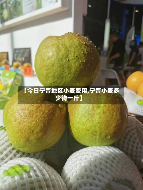 【今日宁晋地区小麦费用,宁晋小麦多少钱一斤】-第1张图片