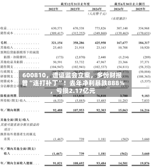 600810，遭证监会立案	，多份财报曾“连打补丁	”！去年净利暴跌888%，亏损2.17亿元-第1张图片