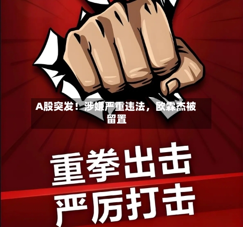 A股突发！涉嫌严重违法，欧霖杰被留置-第1张图片