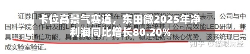 卡位高景气赛道，东田微2025年净利润同比增长80.20%-第3张图片