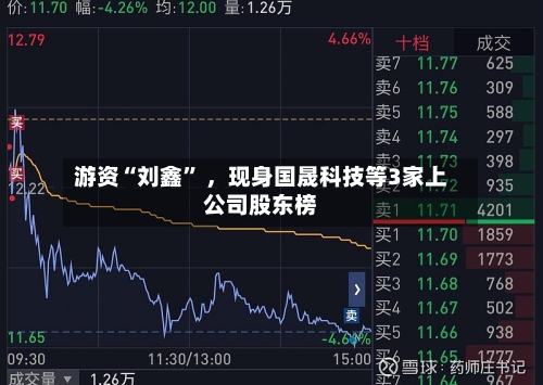 游资“刘鑫” ，现身国晟科技等3家上公司股东榜-第1张图片