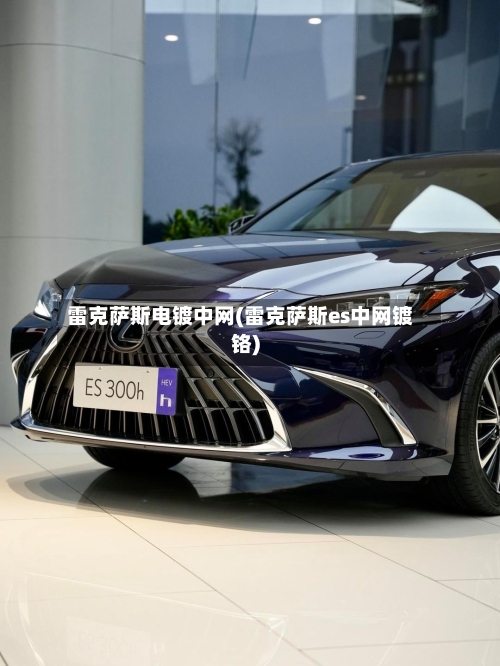 雷克萨斯电镀中网(雷克萨斯es中网镀铬)-第2张图片