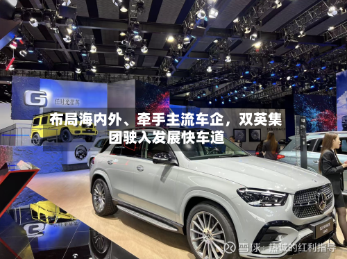 布局海内外	、牵手主流车企，双英集团驶入发展快车道-第1张图片