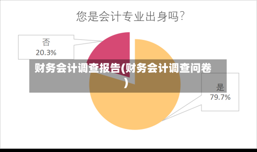 财务会计调查报告(财务会计调查问卷)-第2张图片