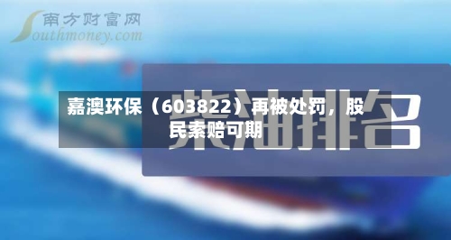 嘉澳环保（603822）再被处罚，股民索赔可期-第2张图片
