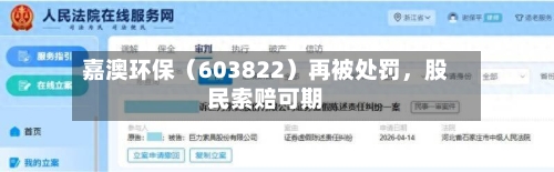 嘉澳环保（603822）再被处罚，股民索赔可期-第1张图片