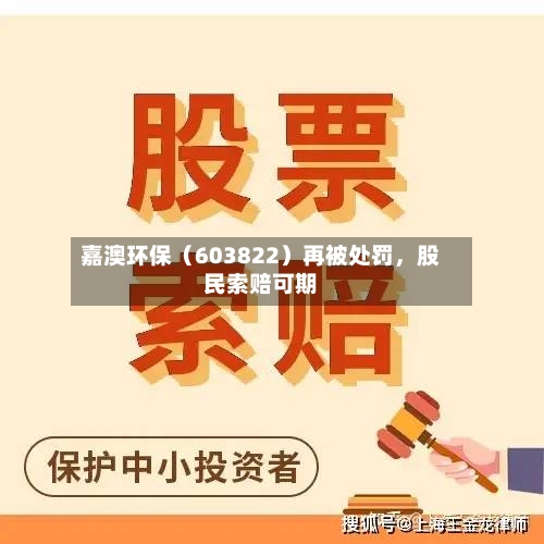 嘉澳环保（603822）再被处罚	，股民索赔可期-第3张图片